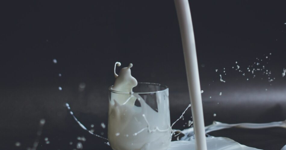 Mituri despre lapte – Care sunt cele mai cunoscute?