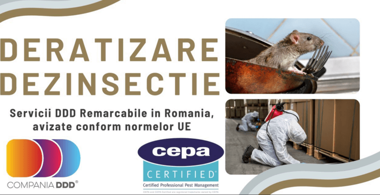 Servicii Dezinsectie, Dezinfectie si Deratizare in Timisoara – Compania DDD® Timisoara, DDD Timisoara