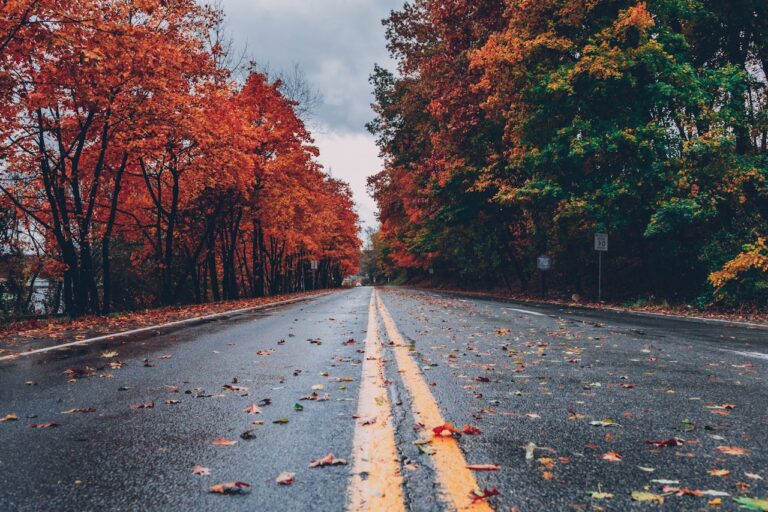 De ce să verifici anvelopele înainte de a pleca în excursie toamna