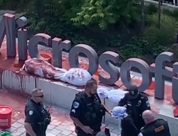 Demiterile angajaților Microsoft în contextul demonstrațiilor pro Palestina