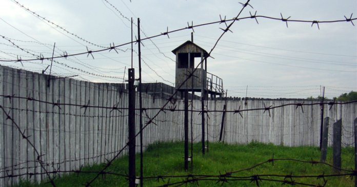 Bilet către Arctica: Sistemul forței de muncă din Rusia și importanța prizonierilor în economia războiului