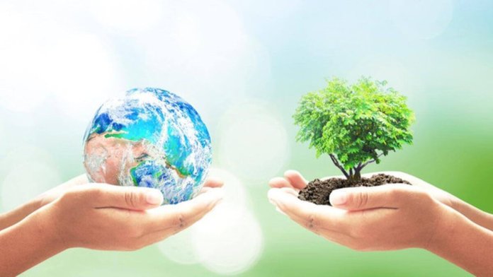 Beneficiile adoptării unor soluții complete de sustenabilitate în mediul de afaceri