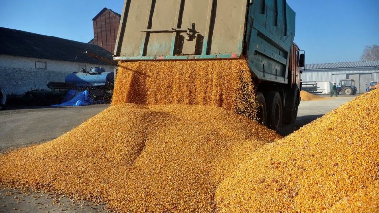 INS: Resursele de cereale și produse pe bază de cereale au suferit o diminuare de 6,38 milioane de tone în 2024