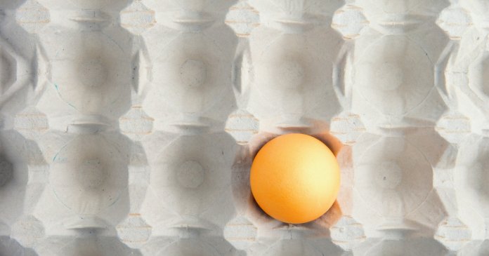 Motivele deficitului de ouă în magazinele din România: conexiunea cu condițiile de viață ale găinilor din ferme