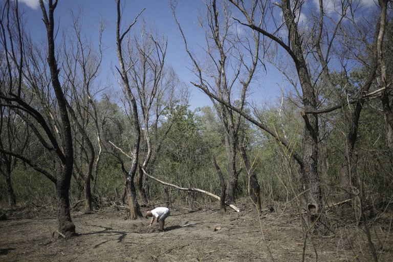 Dronă rusească care a pătruns în spațiul aerian al României s-a prăbușit la Parcheș, au fost primite apeluri la 112 din cauza sunetelor foarte puternice.