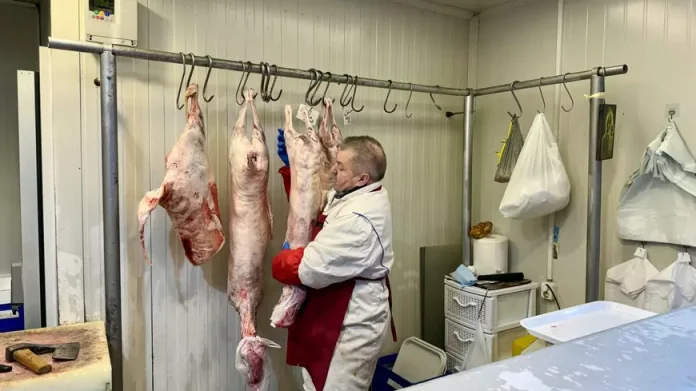 Prețul mieilor de Paște 2026: Care este costul kilogramului de carne de miel în supermarket față de piață? Considerabil mai ridicat! Prețul mieilor de Paște 2026: Care este costul kilogramului de carne de miel în supermarket față de piață? Considerabil mai ridicat!