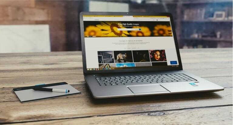 LeadLion: ce trebuie să știi înainte de lansarea unui magazin online