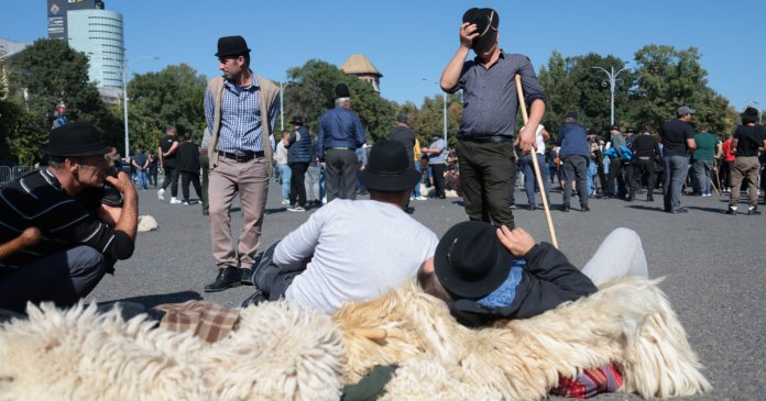 Mii de fermieri de oi manifestă în Capitală; jandarmii au reacționat cu spray-uri lacrimogene după evenimentul de la ANSVSA.