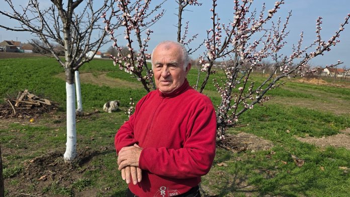 Român întors după 25 de ani în Germania: „Chiar și urzica arată mai bine aici decât trandafirii de acolo”
