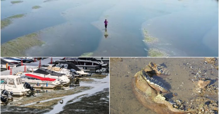 „Putem să ne deplasăm pe jos către România”: Dunărea și Rinul seacă din cauza căldurii intense, reactoarele sunt oprite și navele sunt înglodate.