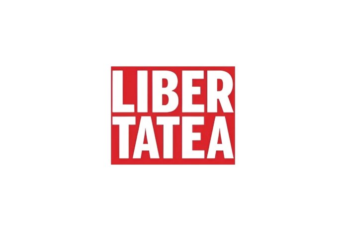 România intră în cursa pentru energia eoliană offshore: Executivul sugerează șase zone maritime cu o capacitate de peste 11 GW